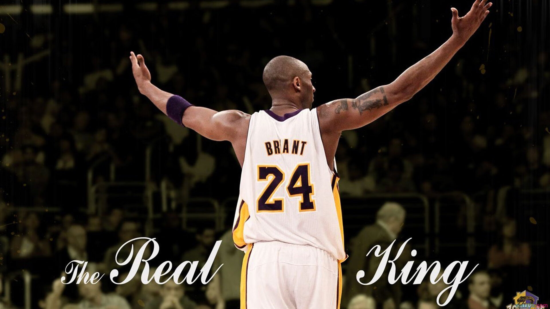 巅峰对决！扣篮大赛新星闪耀，创意与力量引爆全场