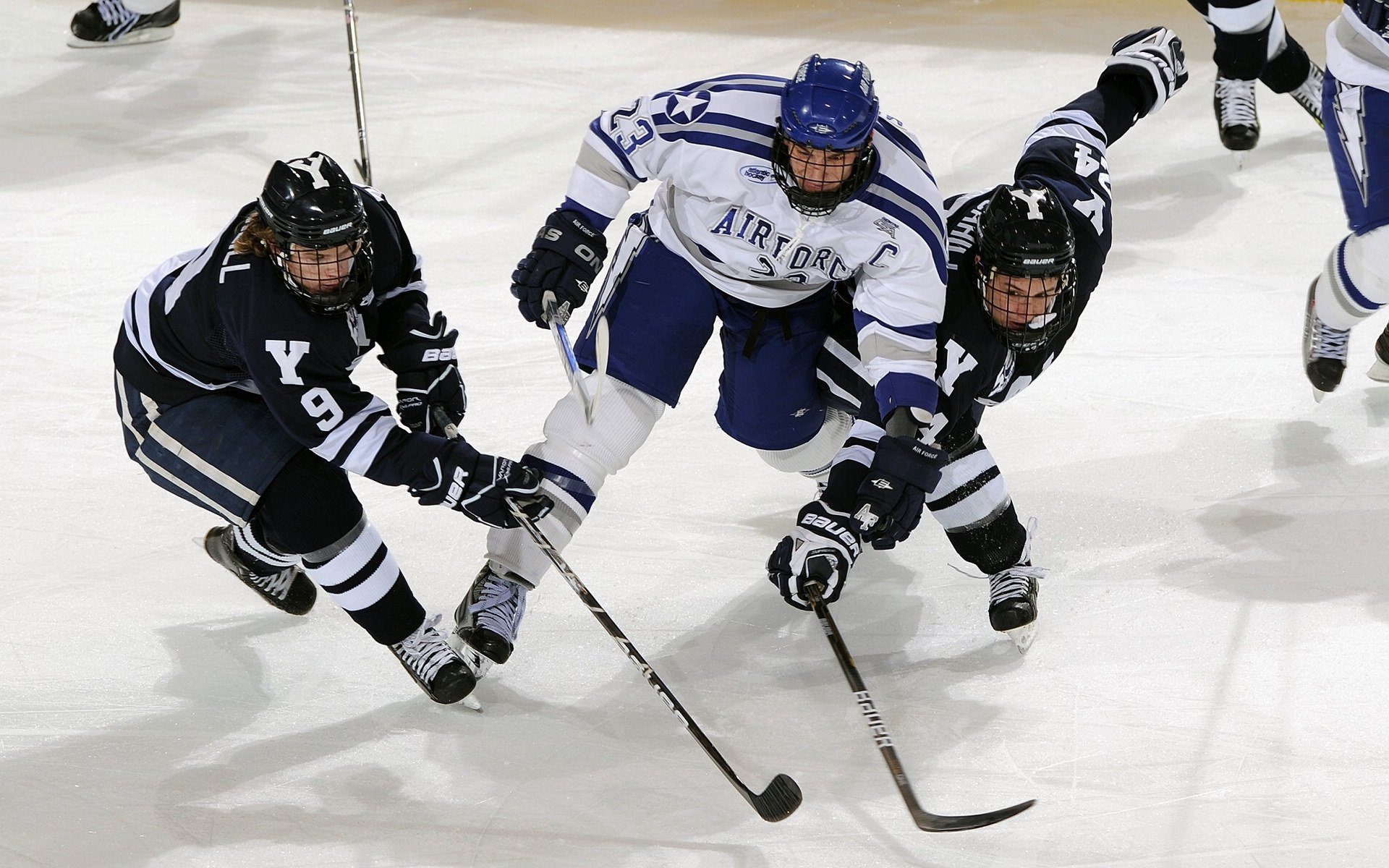 禁赛风波席卷体坛，明星运动员遭重罚，争议不断升级